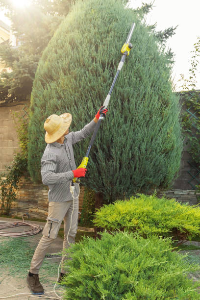 Best Pest Control for Lawns  in Rossmoor, NJ